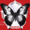 Black Butterfly. L'anno della farfalla di L.F. Koraline