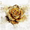 King of Greed di Ana Huang | Recensione di Deborah